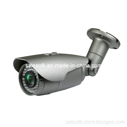 Heater Outdoor CCD Camera with OSD&Icr (OFK-IR798HD)